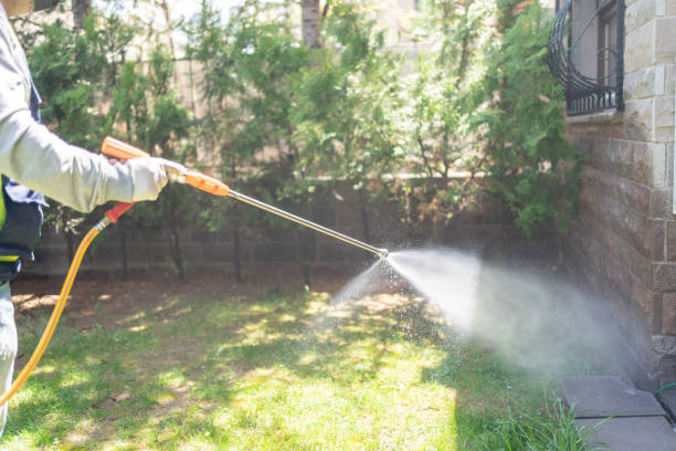 Best Termite Control Services  in Middleburg, PA