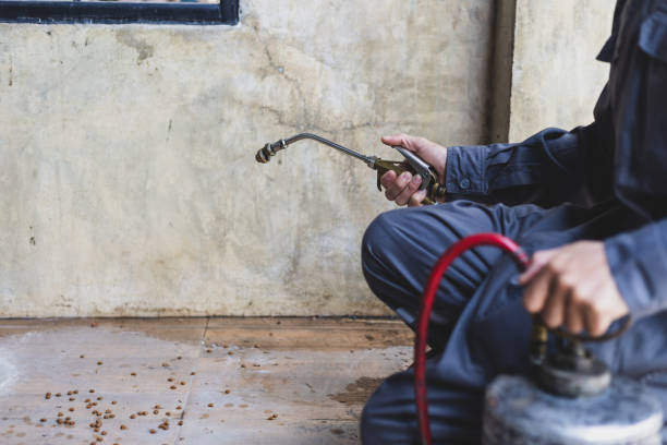Best Rat Extermination Near Me  in Middleburg, PA